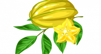 Star Fruit Leave Extract