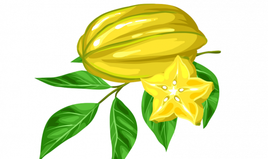 Star Fruit Leave Extract
